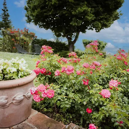 Апартаменты Rose Di Fratta